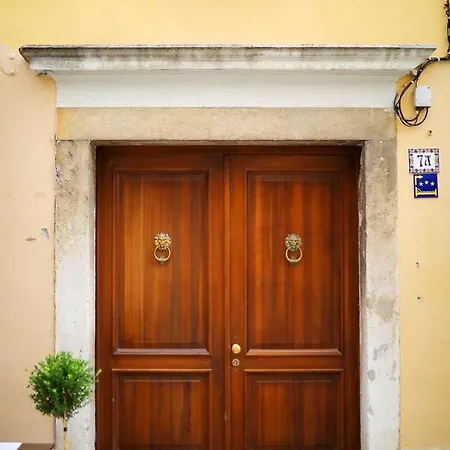 Old Town Stylish Andi Zadar
